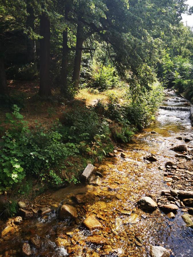 Chillout-Aparts Świeradów-Zdrój Extérieur photo