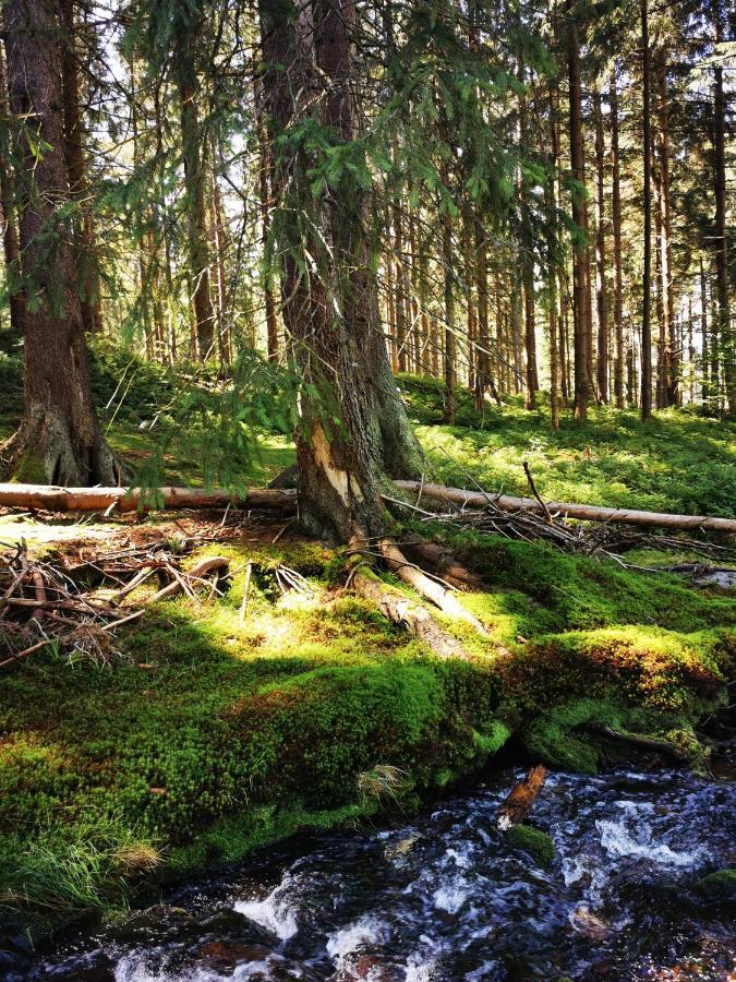 Chillout-Aparts Świeradów-Zdrój Extérieur photo